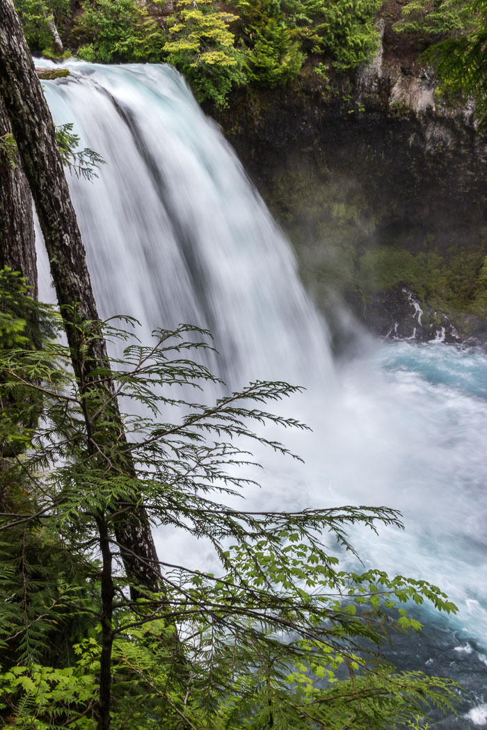 Mckenzie River Valley