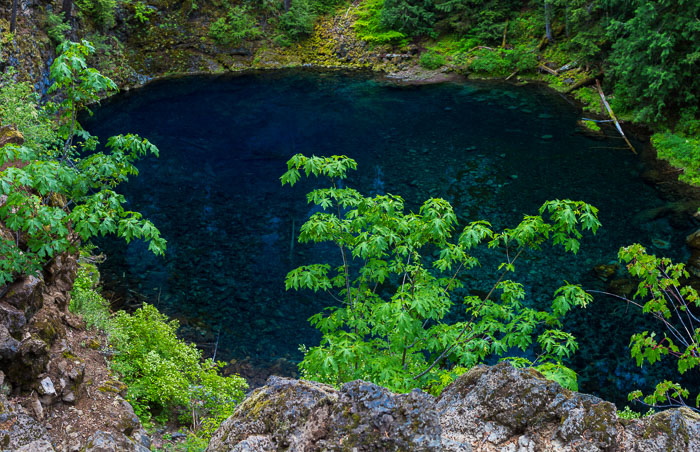 Mckenzie River Valley