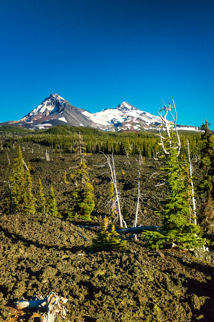 Mckenzie River Valley
