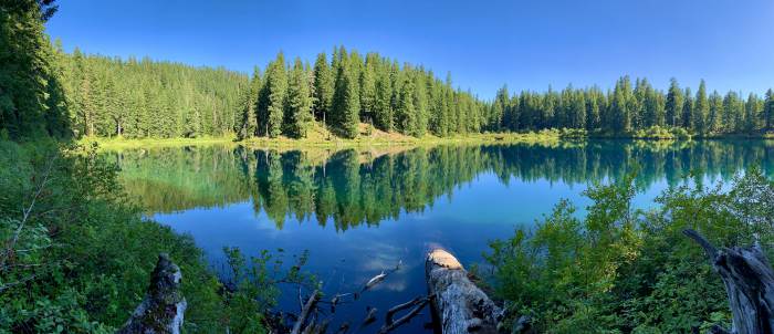 Mckenzie River Valley