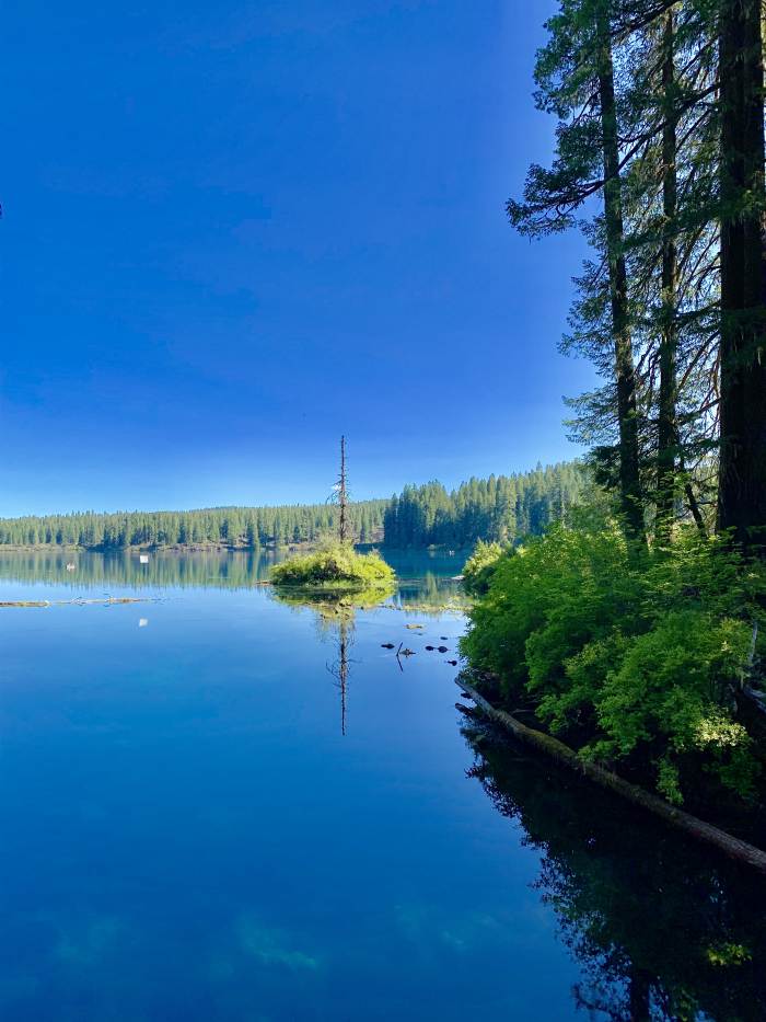 Mckenzie River Valley
