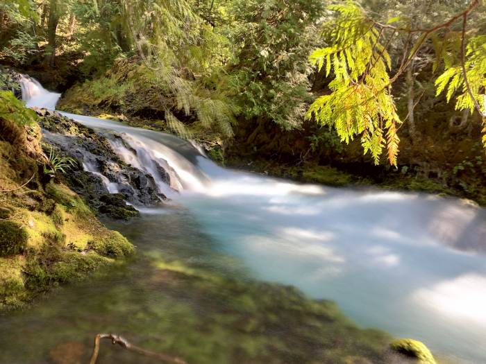 Mckenzie River Valley