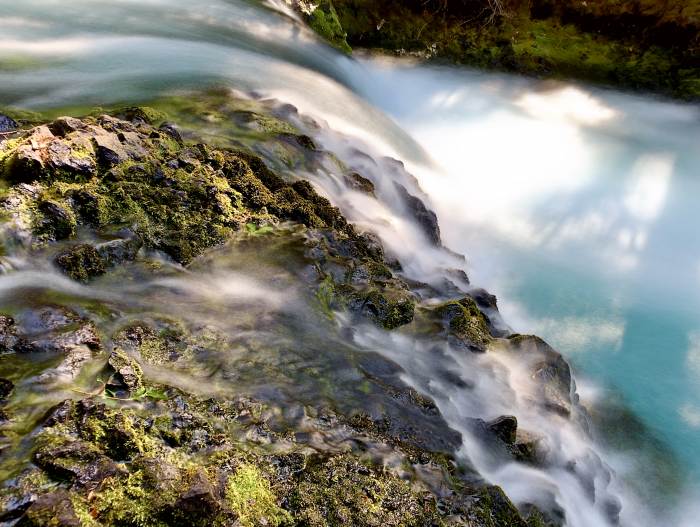 Mckenzie River Valley