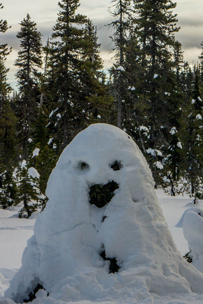 Mt. Hood Winter Mt. Hood Winter