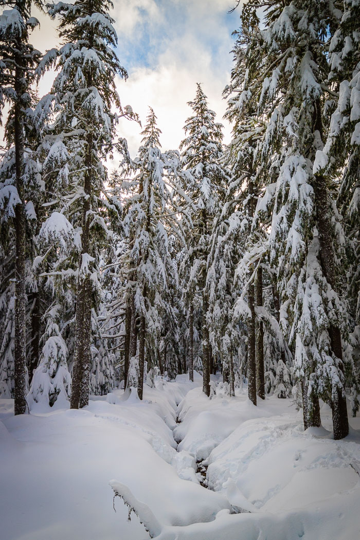 Mt. Hood Winter Mt. Hood Winter