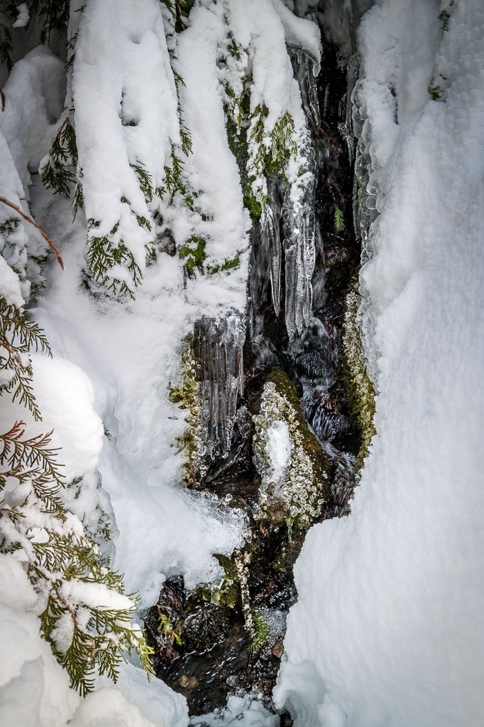 Mt. Hood Winter