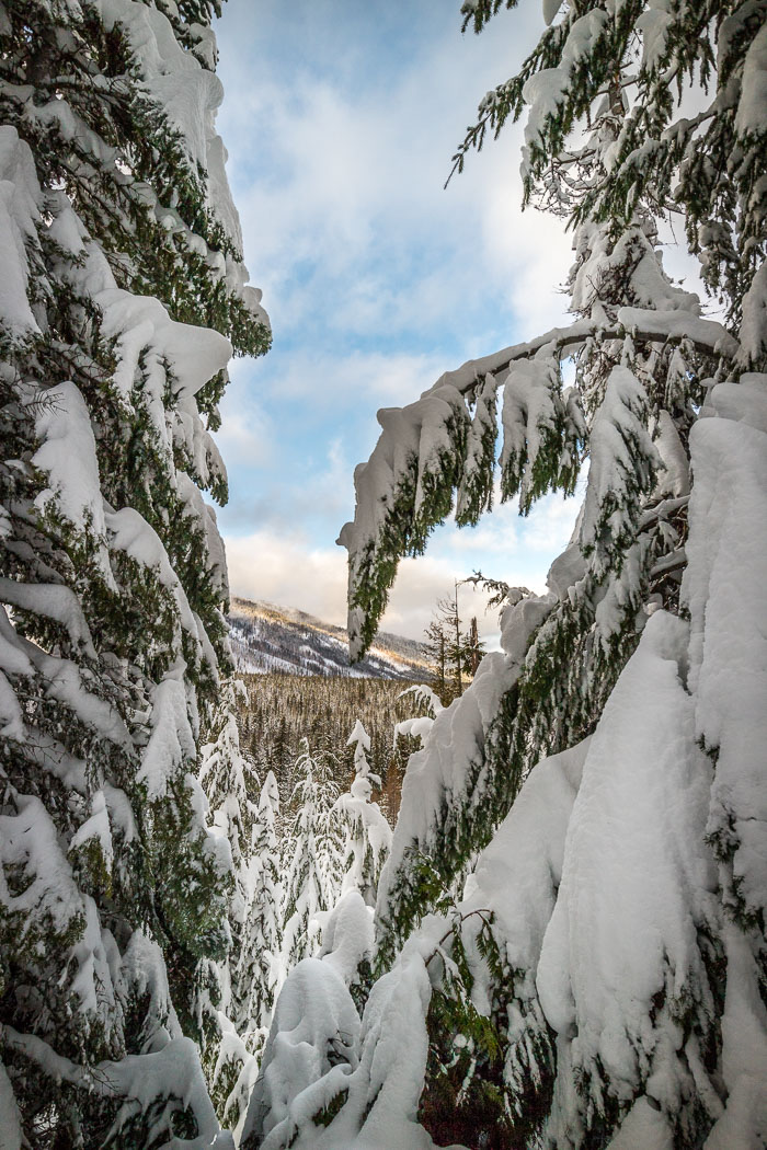 Mt. Hood Winter Mt. Hood Winter