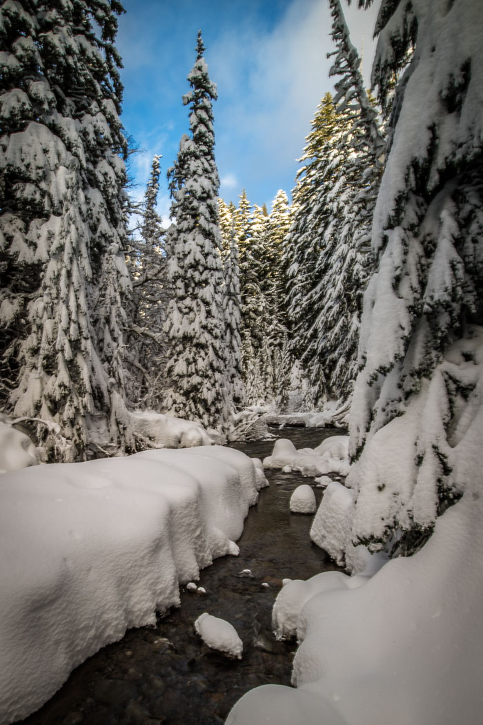 Mt. Hood Winter