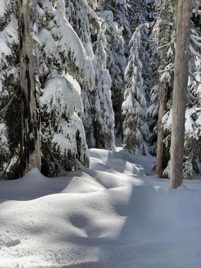 Mt. Hood Winter Mt. Hood Winter