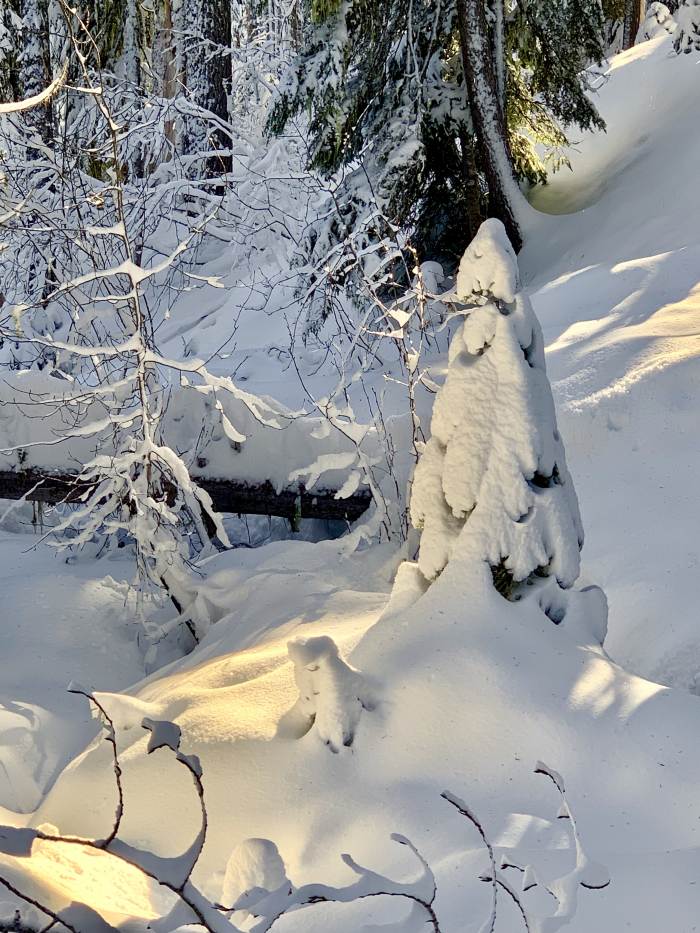 Mt. Hood Winter