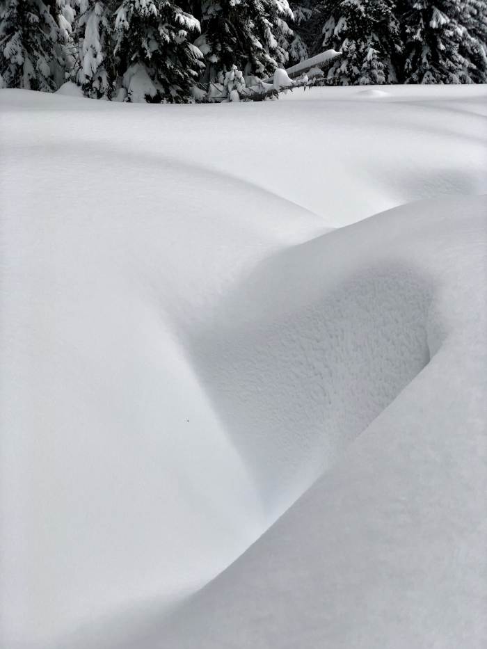 Mt. Hood Winter