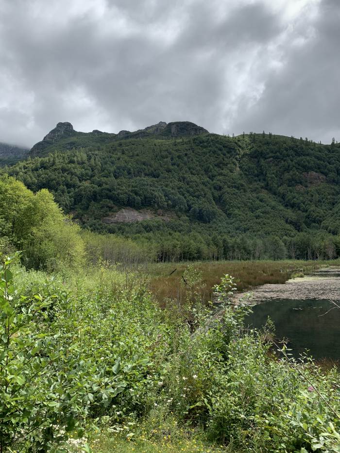 Mt. St. Helens