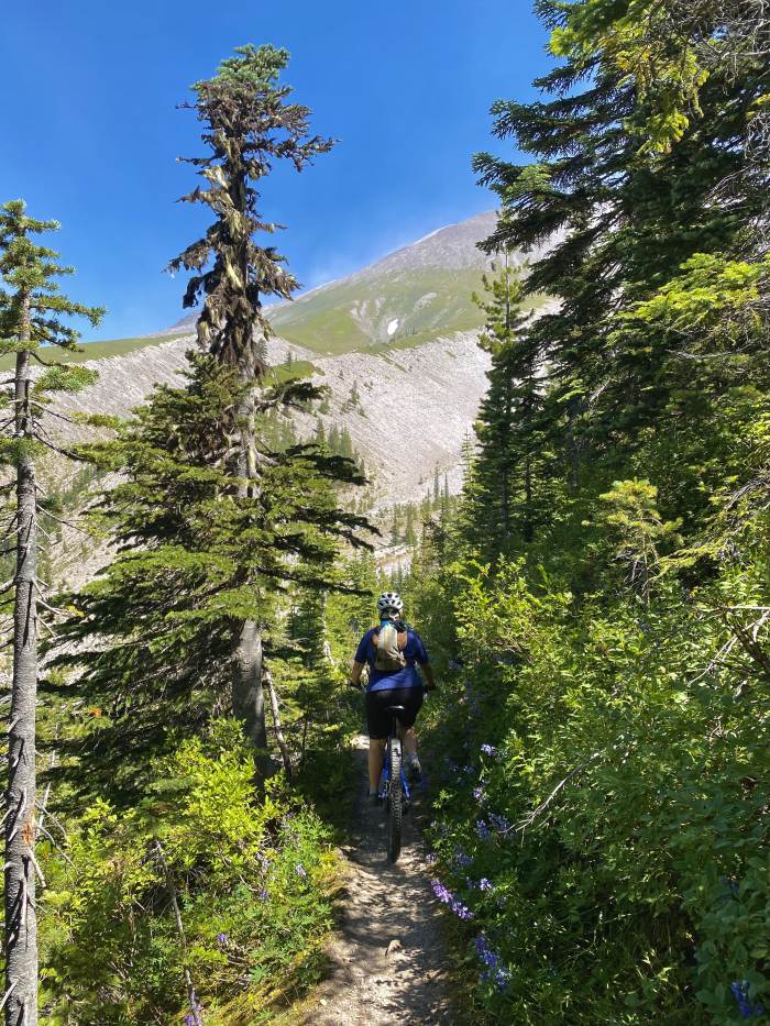 Mt. St. Helens