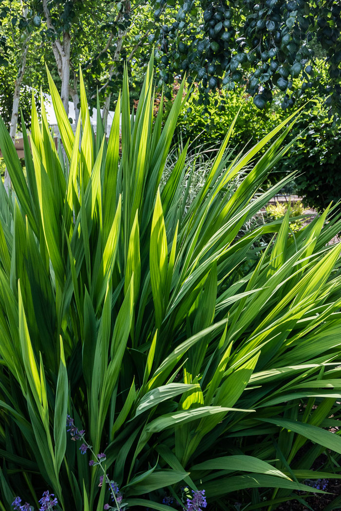 Oregon Gardens Oregon Gardens