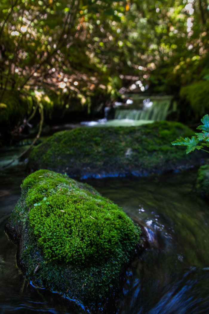 Ramona Falls