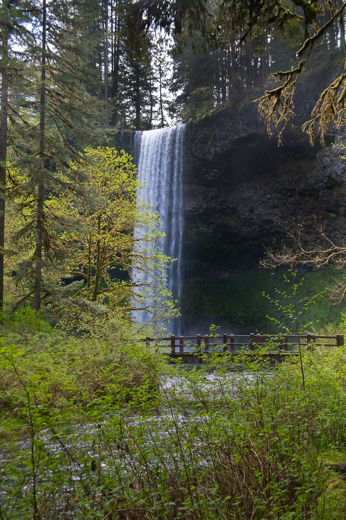 Silver Falls State Park