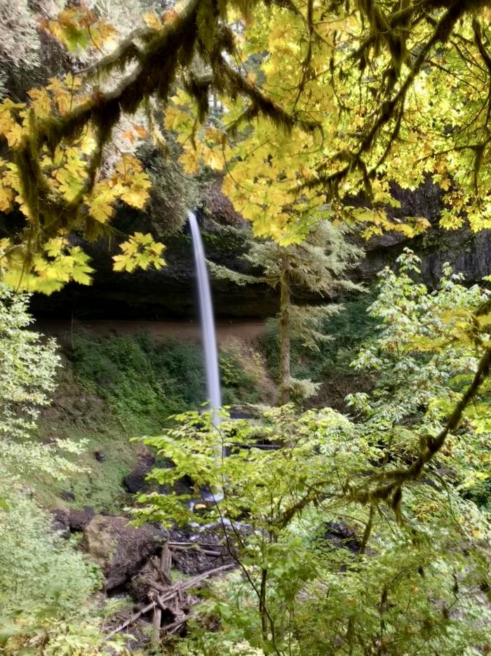 Silver Falls State Park Silver Falls State Park