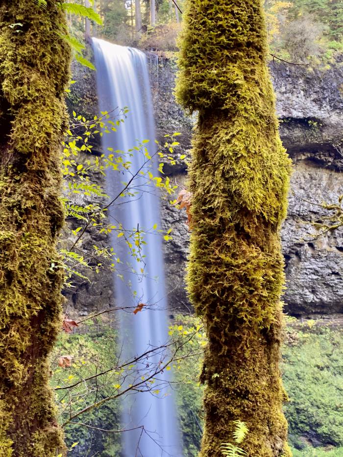 Silver Falls State Park Silver Falls State Park