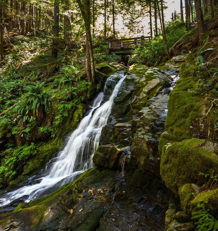 Siouxon Creek Trail