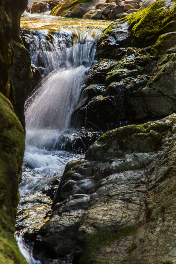 Siouxon Creek Trail