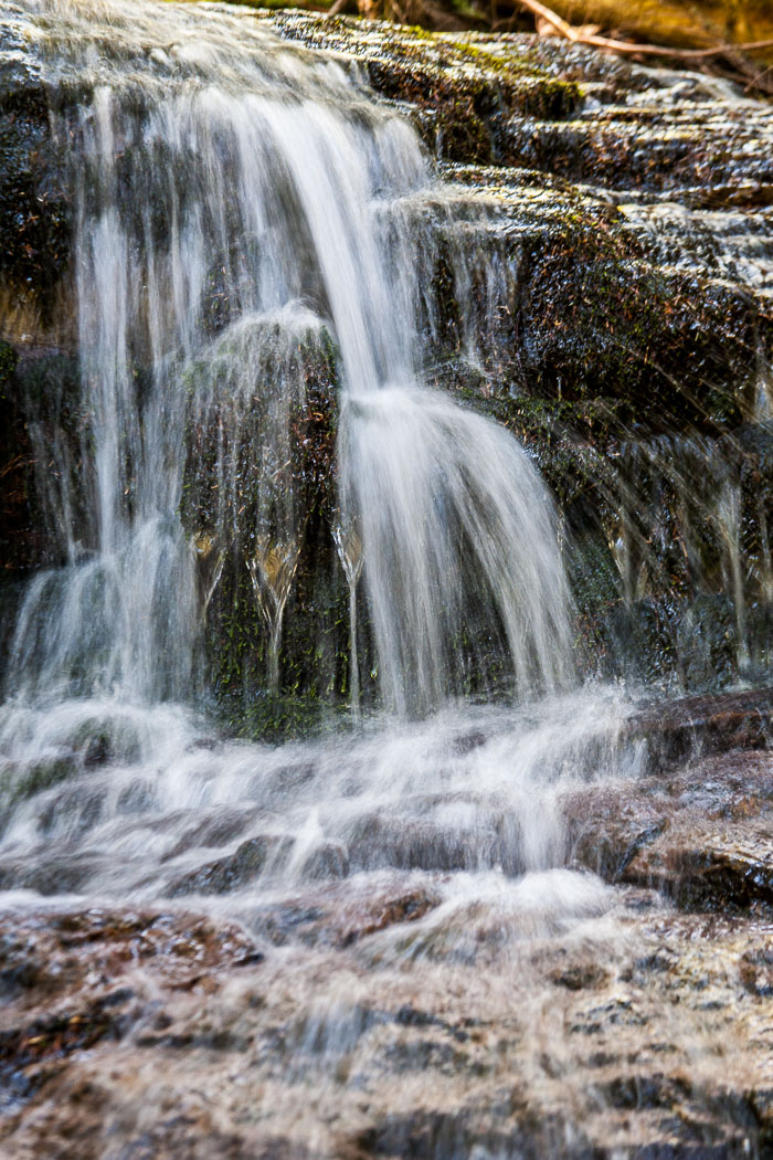 Siouxon Creek Trail