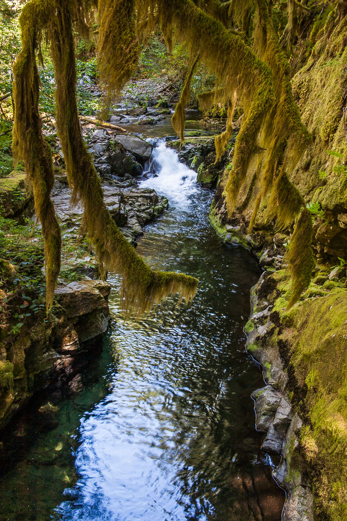 Siouxon Creek Trail