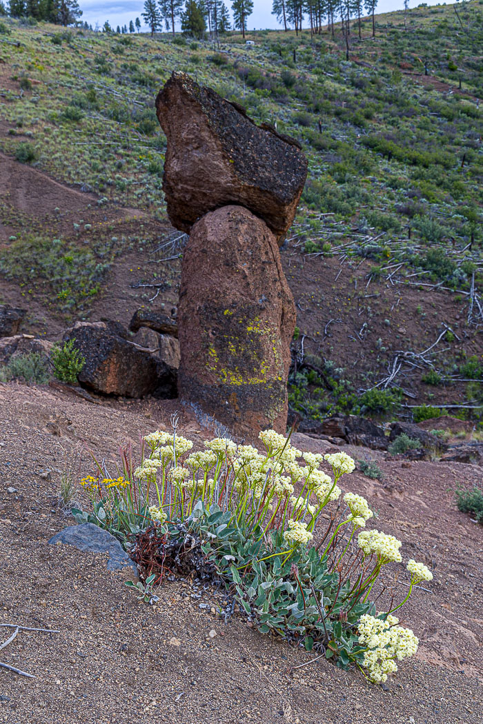 Oregon Hoodoos