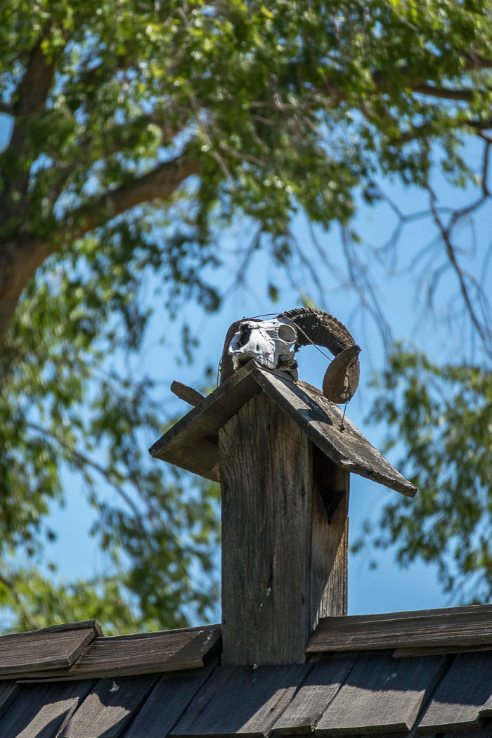 The Painted Hills section of the John Day Fossil beds National Monument