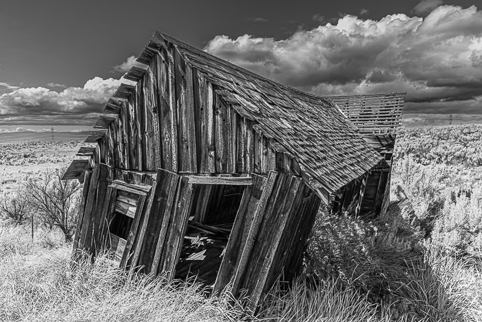 Miscellaneous Photos from no particular areas