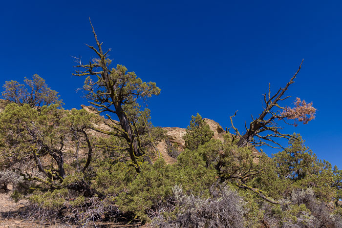 Smith Rock State Park