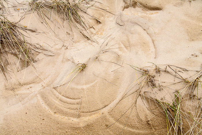 Cape Kiwanda