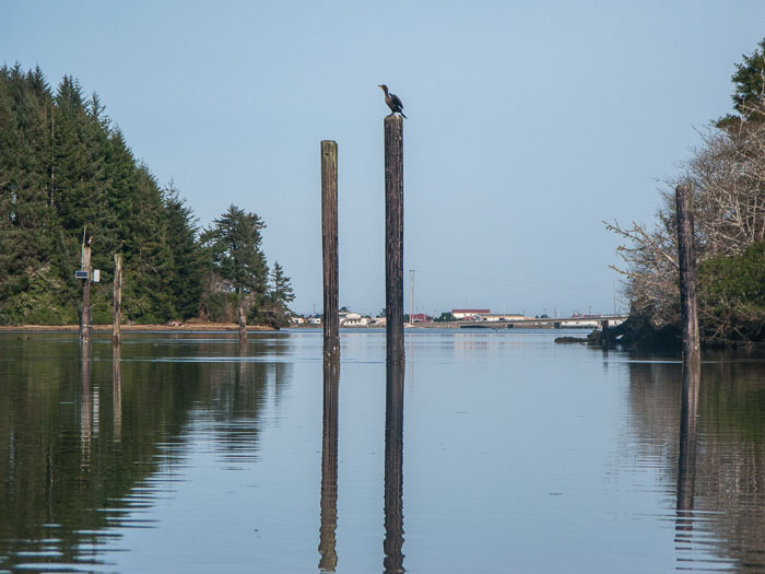 Coos Bay Area Sloughs