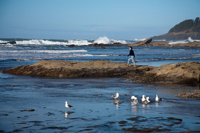 Northern Oregon Coast