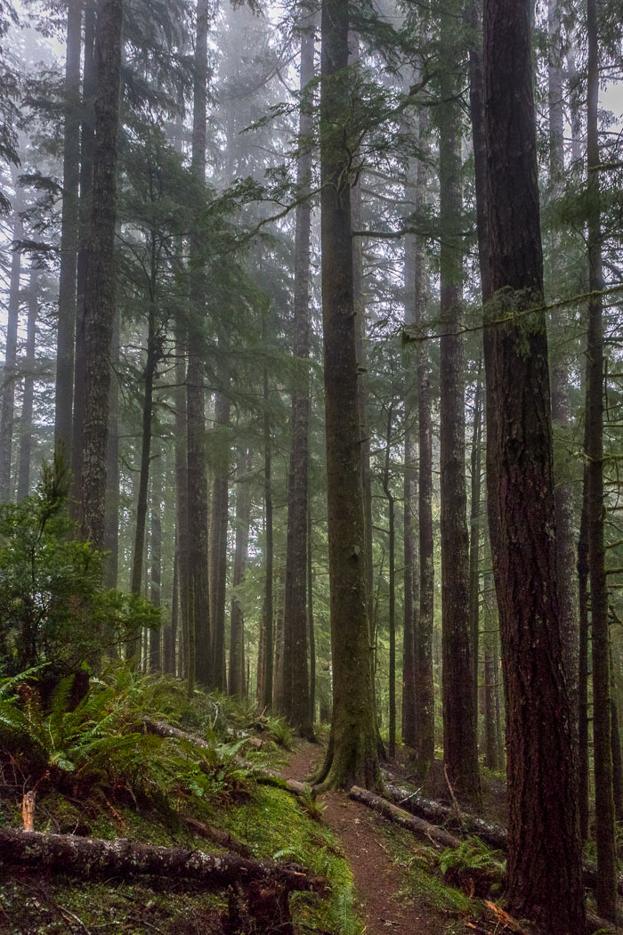 Northern Oregon Coast