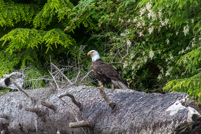 Deception Pass