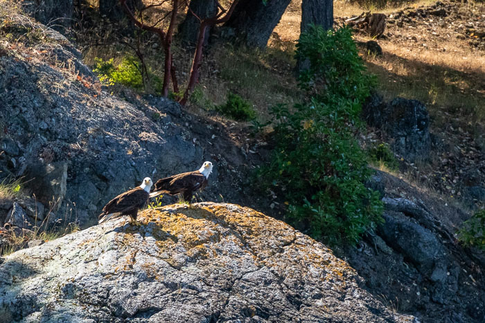 San Juan Islands