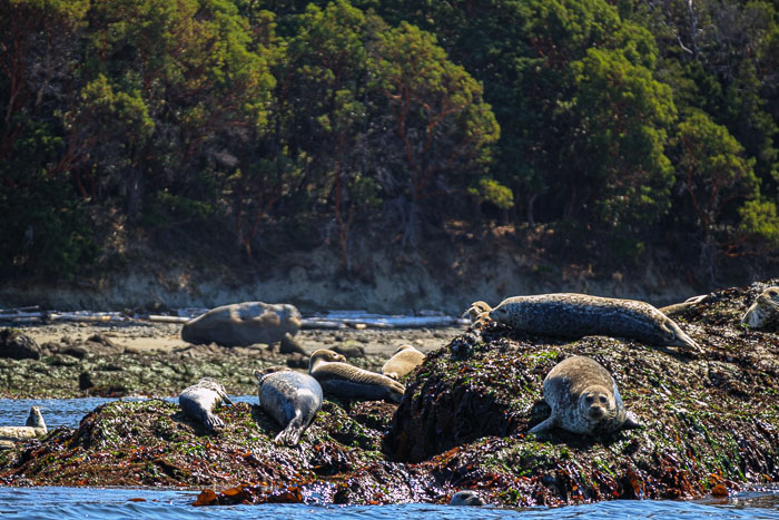 San Juan Islands