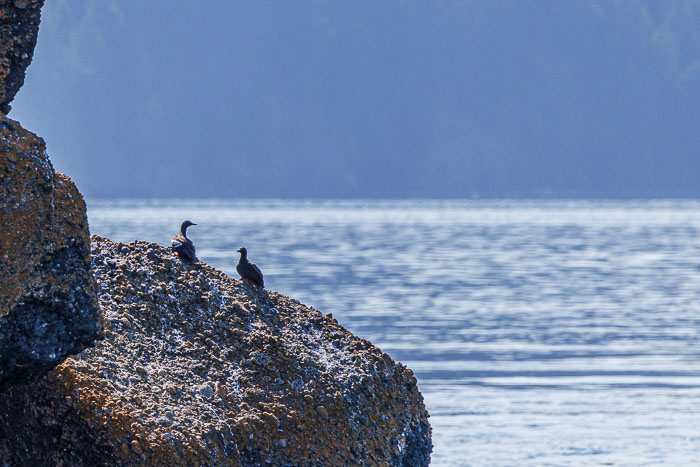 San Juan Islands