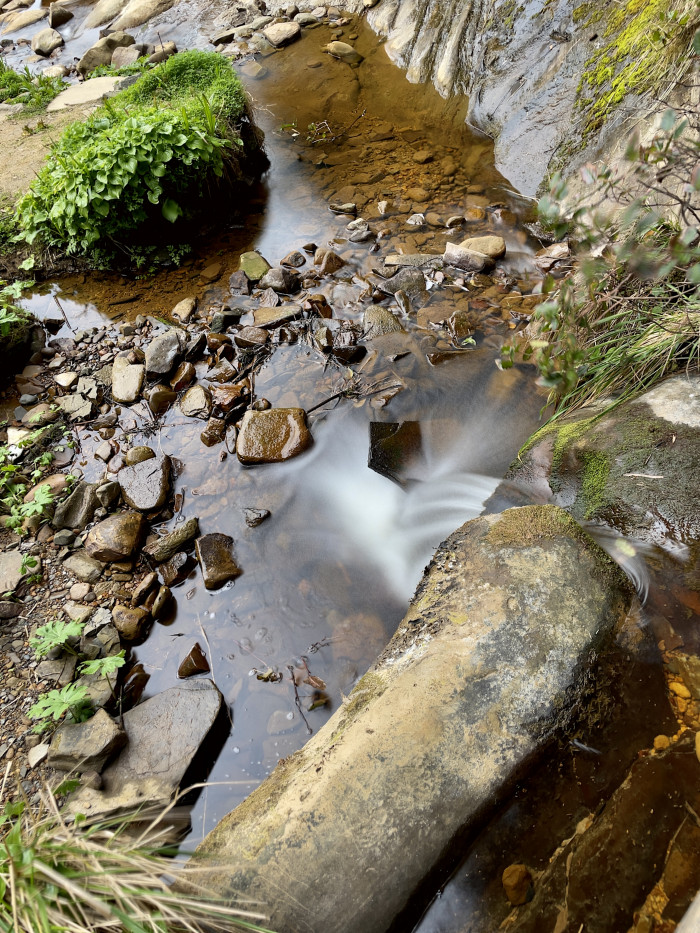 Shore Acres and Sunset Bay State Park