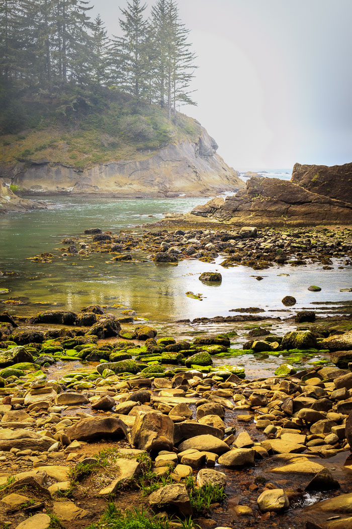 Shore Acres and Sunset Bay State Park