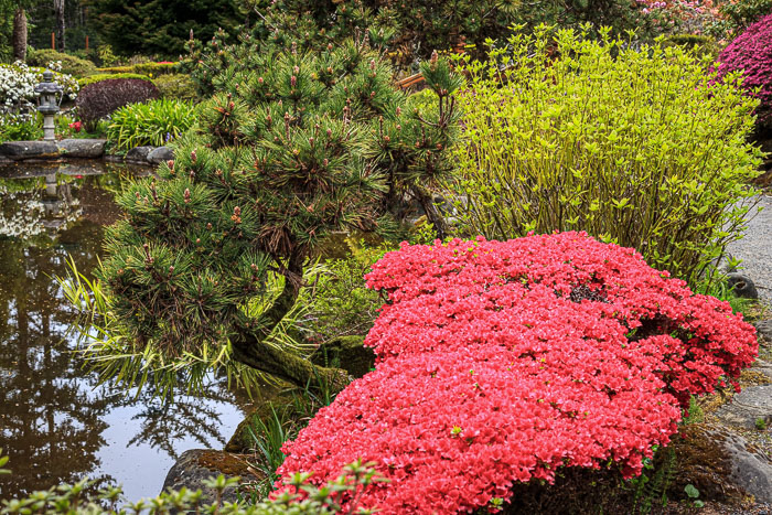 Shore Acres and Sunset Bay State Park
