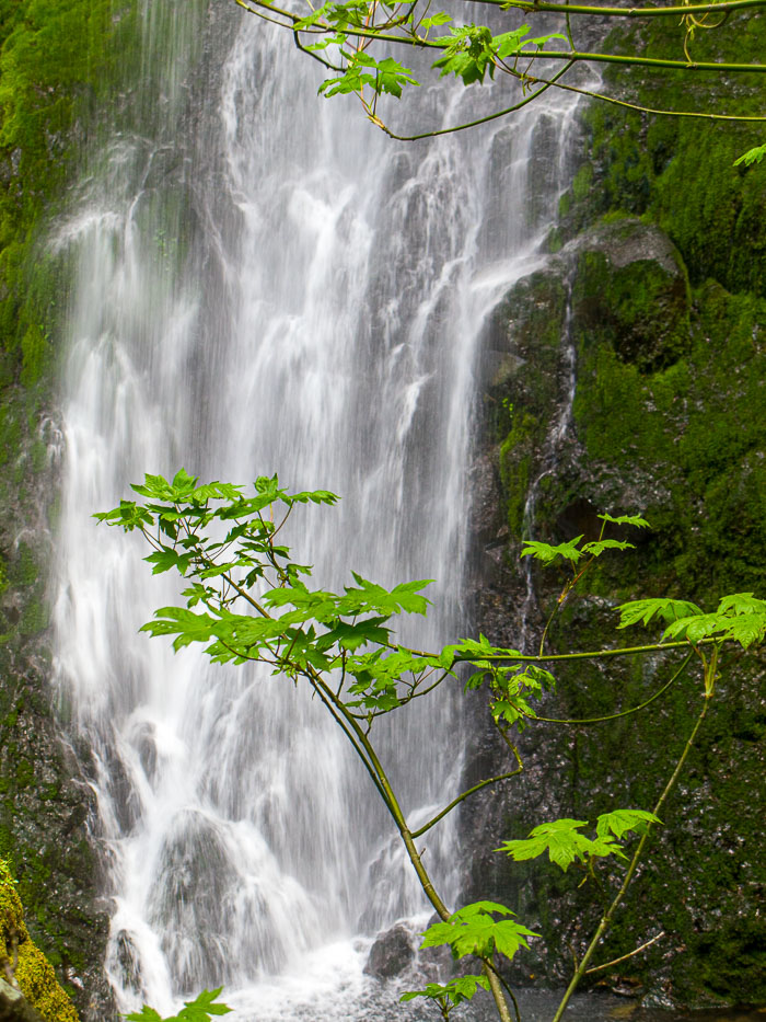 Columbia Gorge Falls Area Columbia Gorge Falls Area