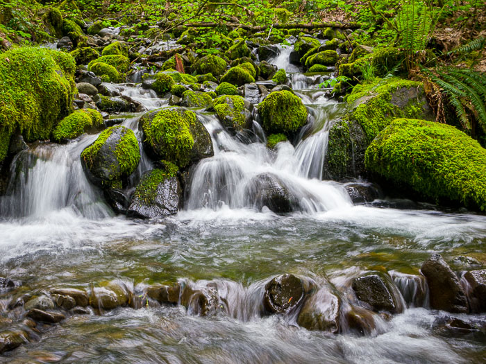 Columbia Gorge Falls Area Columbia Gorge Falls Area