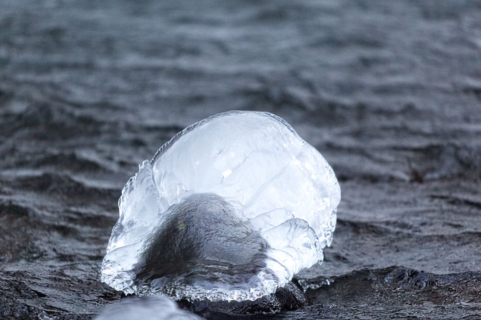 Chasing Ice Chasing Ice