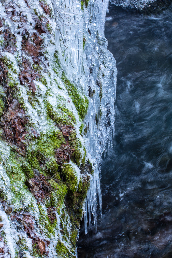 Chasing Ice Chasing Ice