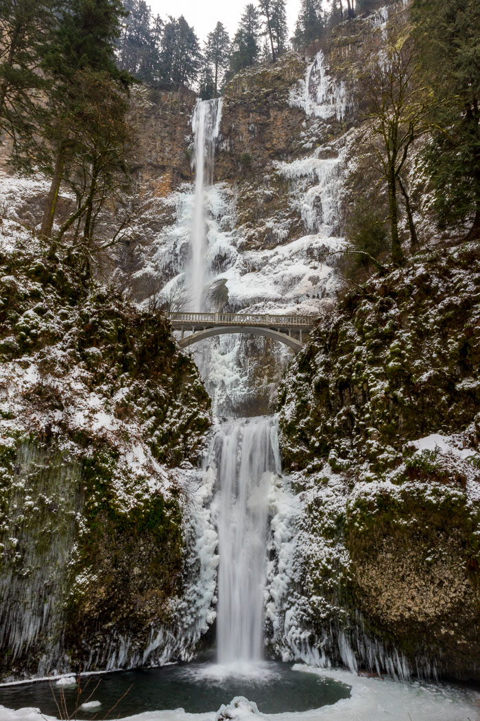 Chasing Ice