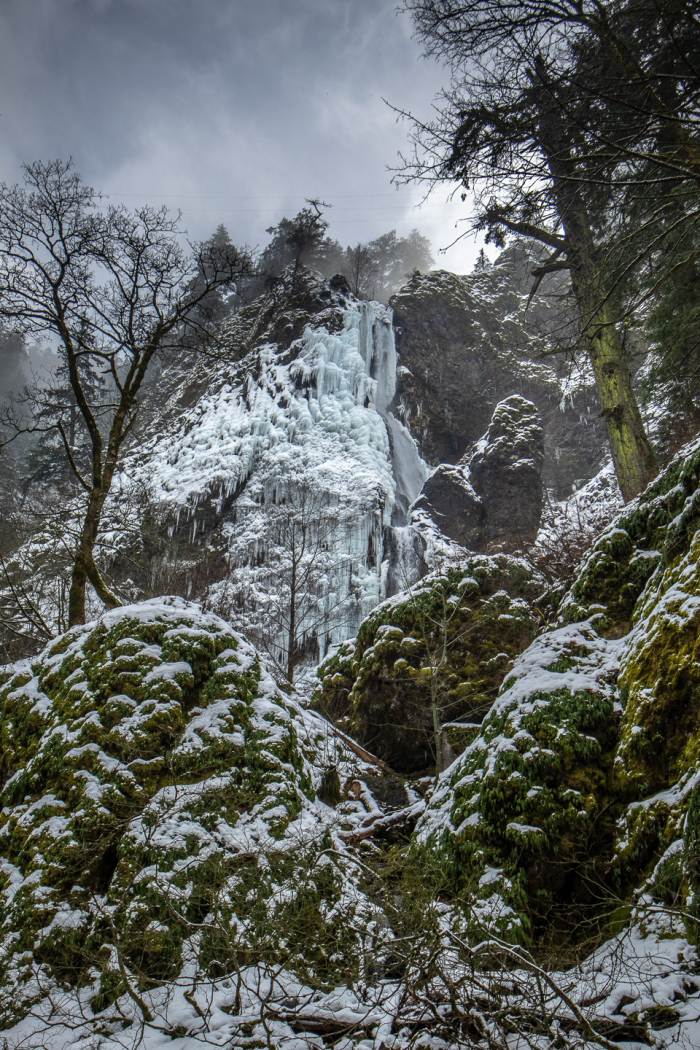 Chasing Ice