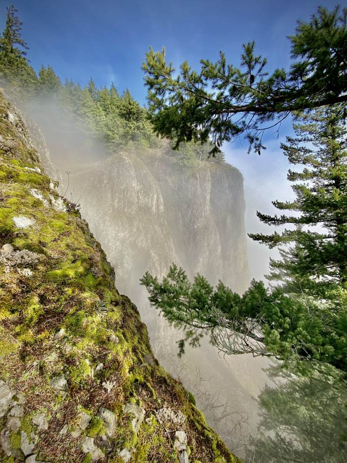 Hamilton Mountain Trail