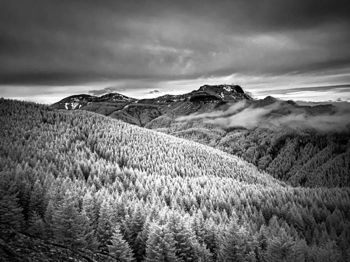 Hamilton Mountain Trail