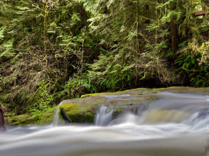 Lacamas Lake Regional Park